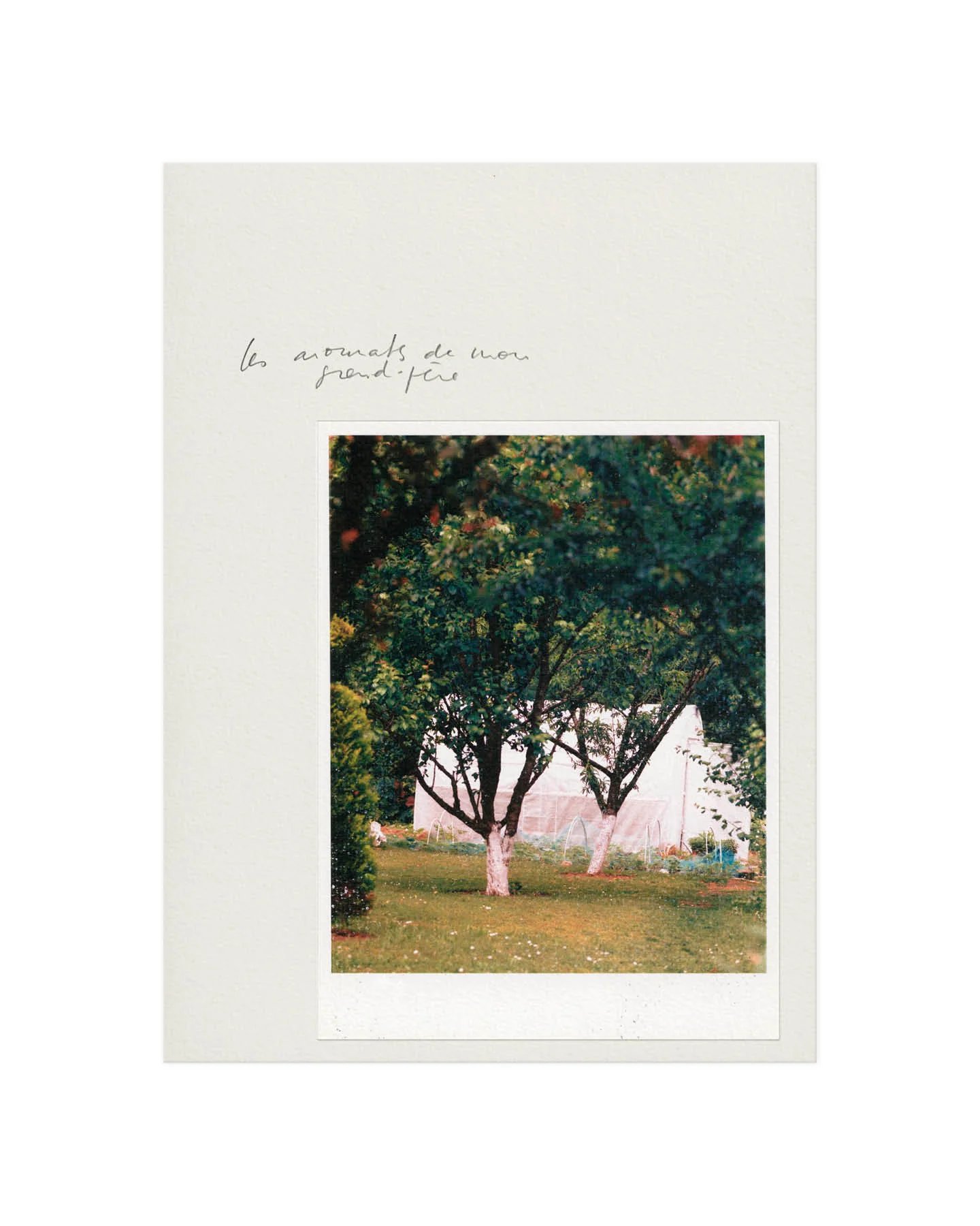 8m2 - Image 3