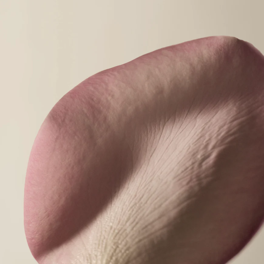 A Rose By Any Other Name Body Cleanser - Image 3