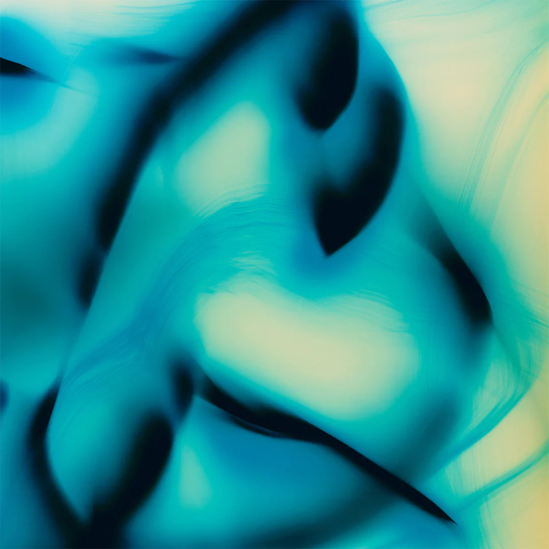Bois Obscur - Image 6