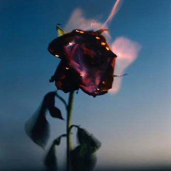 Burning Rose Duftlys - Image 3