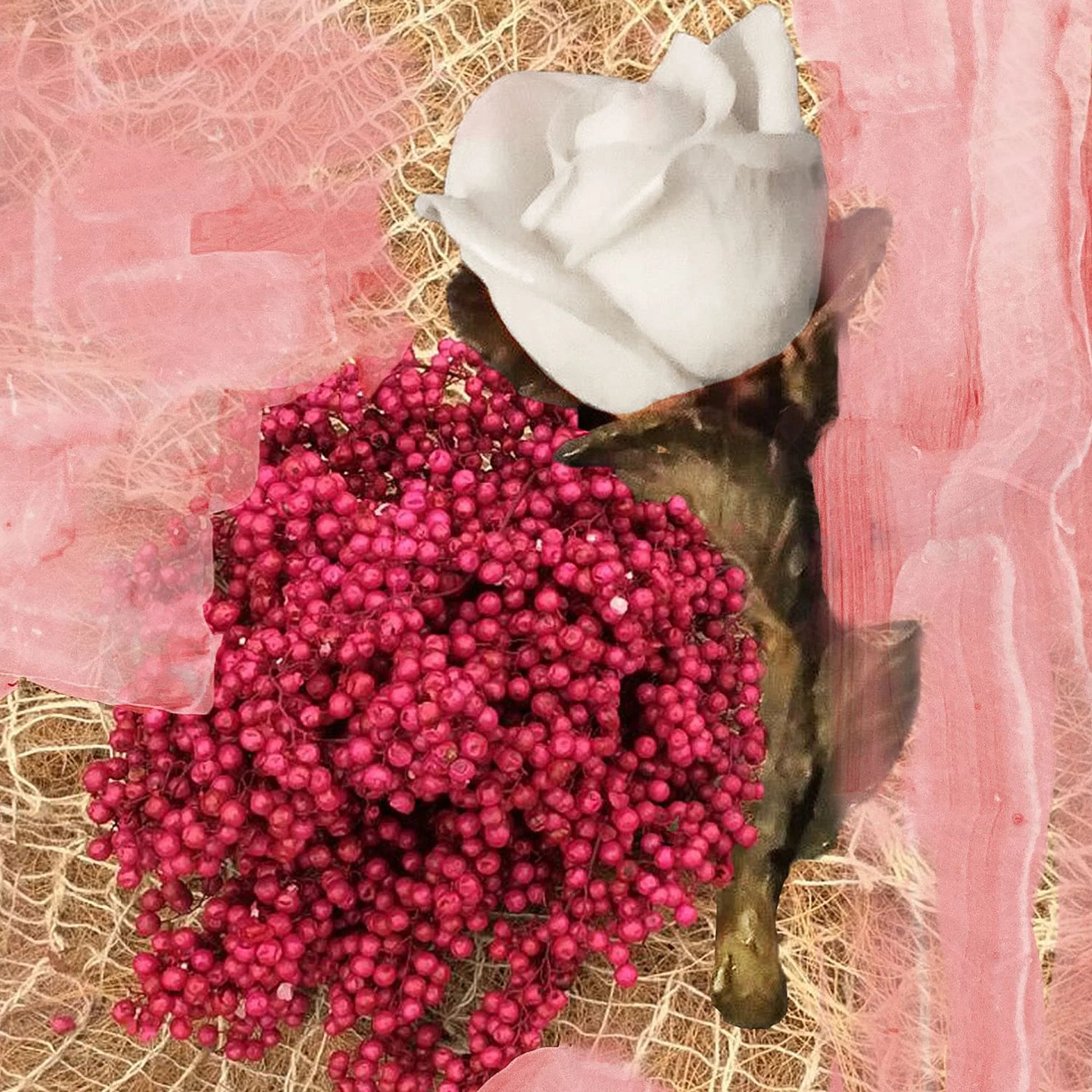 Rose of No Man's Land - Image 3