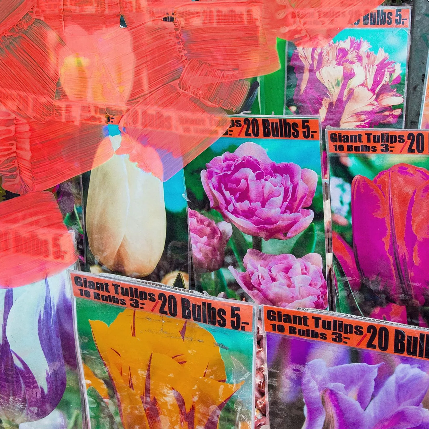 La Tulipe - Image 3