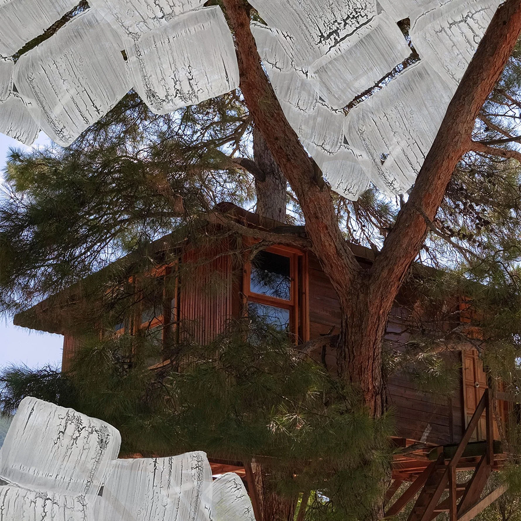 Tree House Room Spray - Image 3