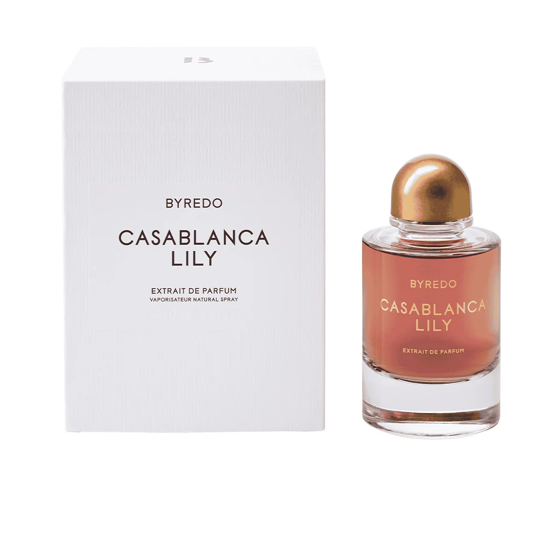 Casablanca Lily - Image 4