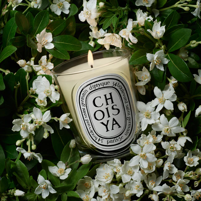 Choisya Classic Candle - Image 2