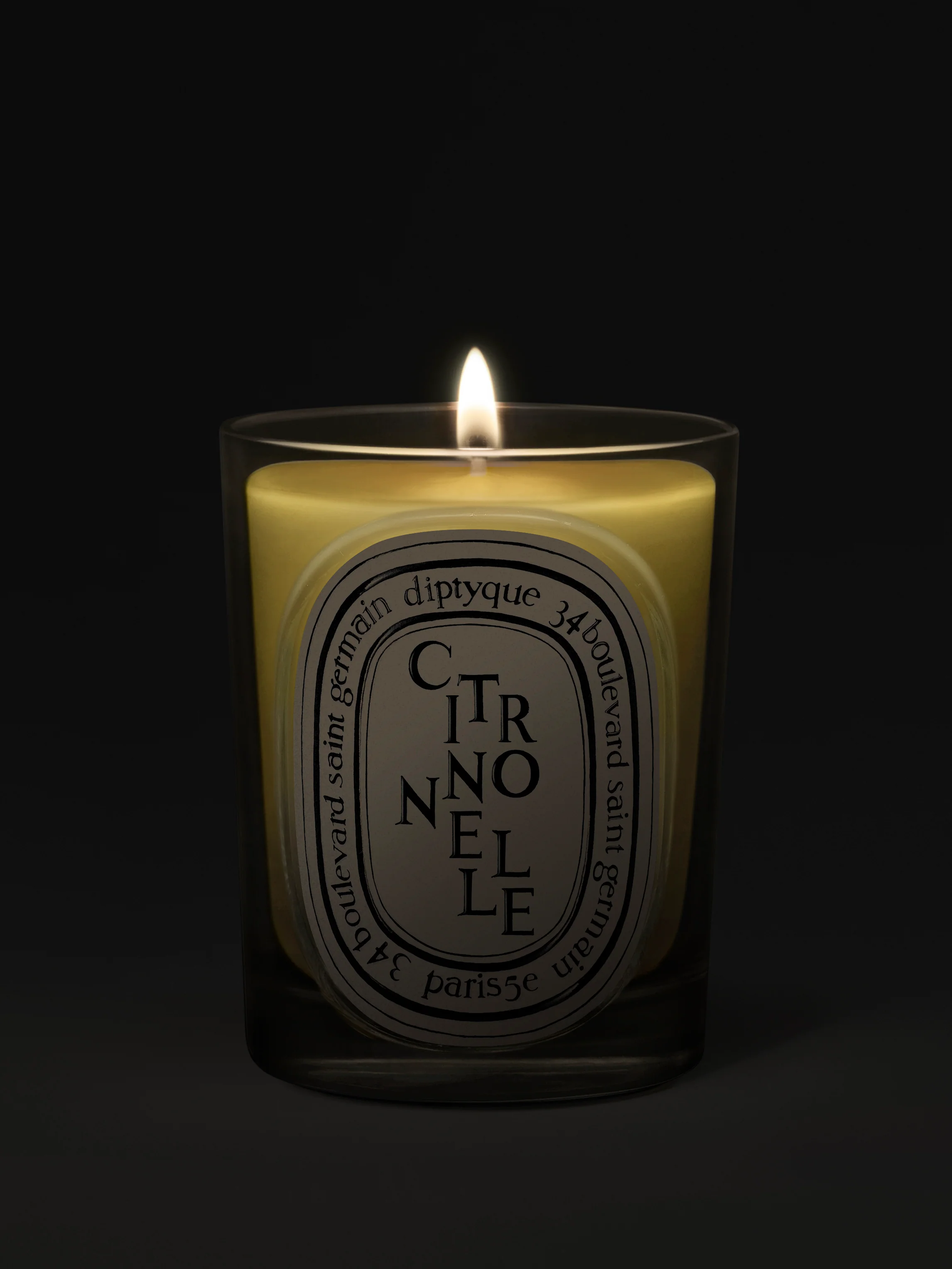 Citronnelle Classic Candle - Image 3