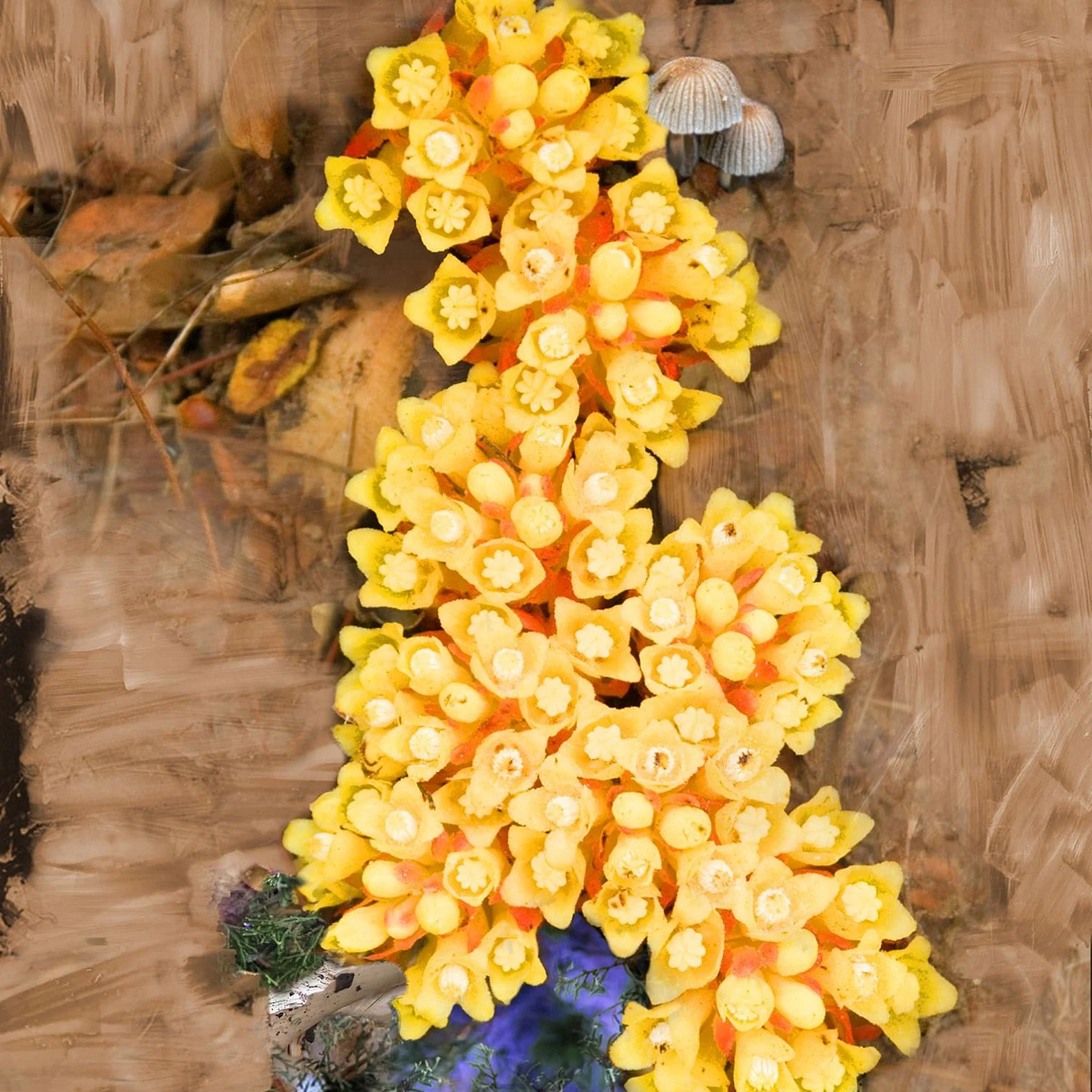 De Los Santos - Image 3