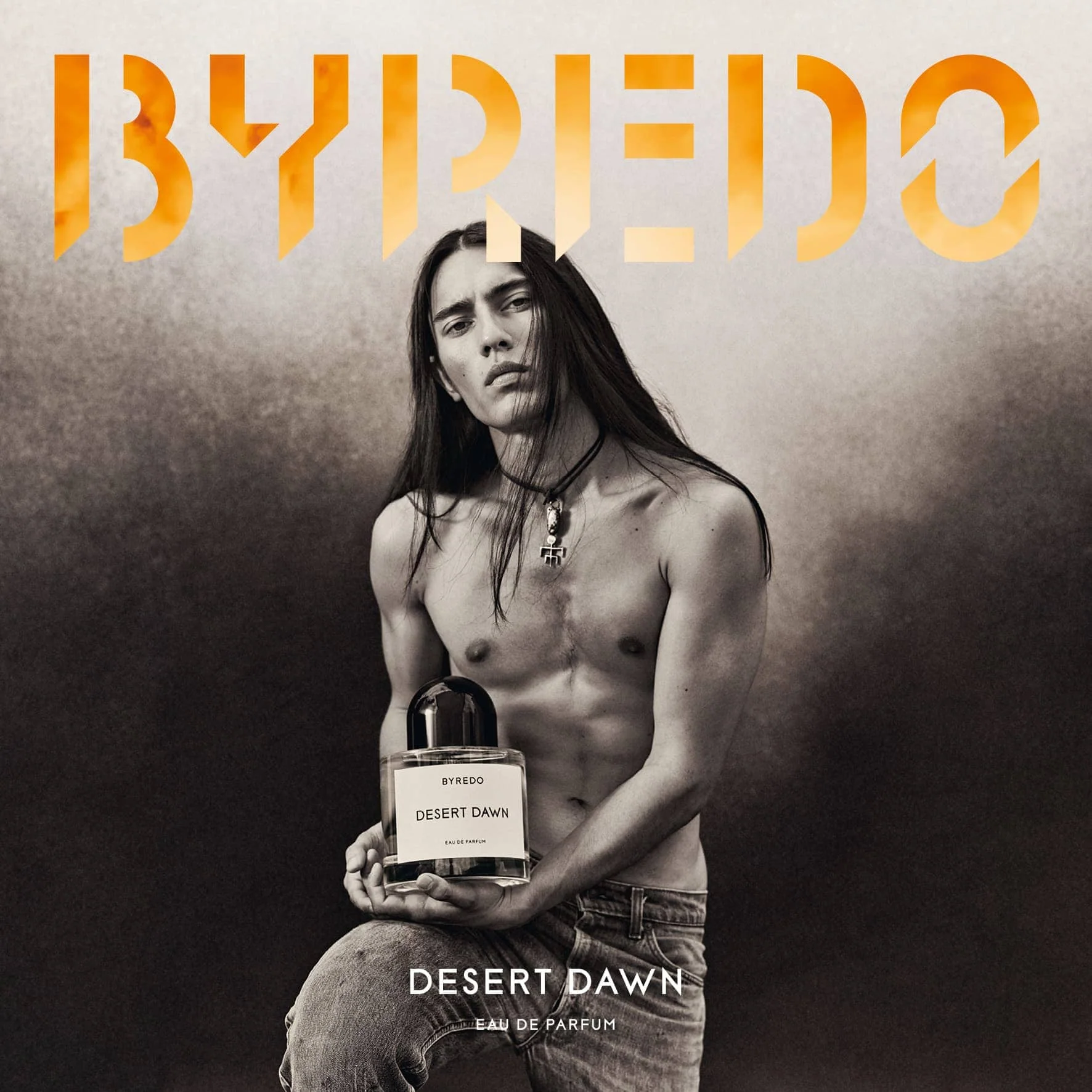 Desert Dawn - Image 4
