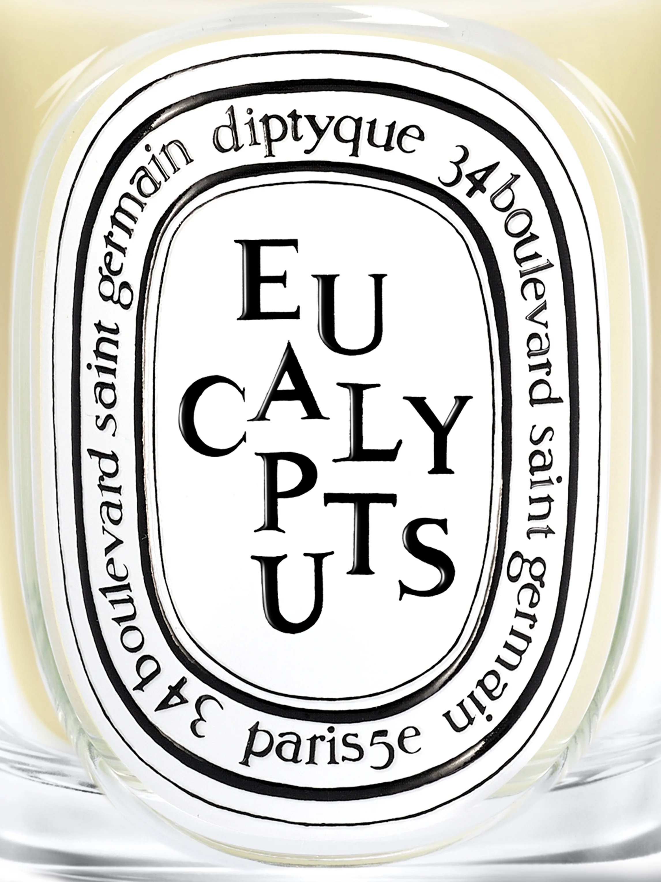 Eucalyptus Classic Candle - Image 3