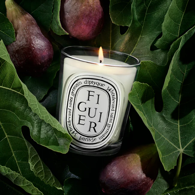 Figuier Classic Candle - Image 2