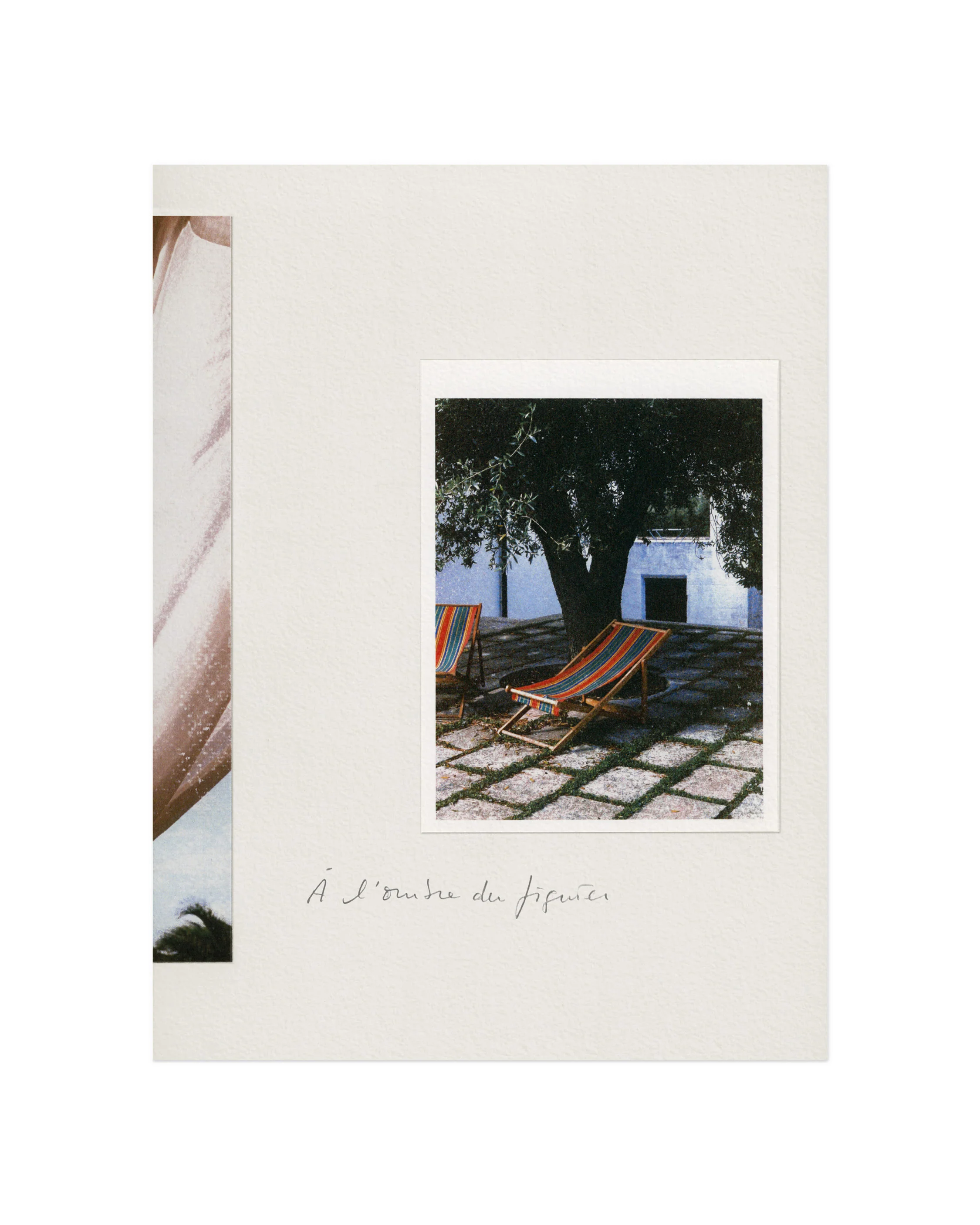 Fin Août - Image 3