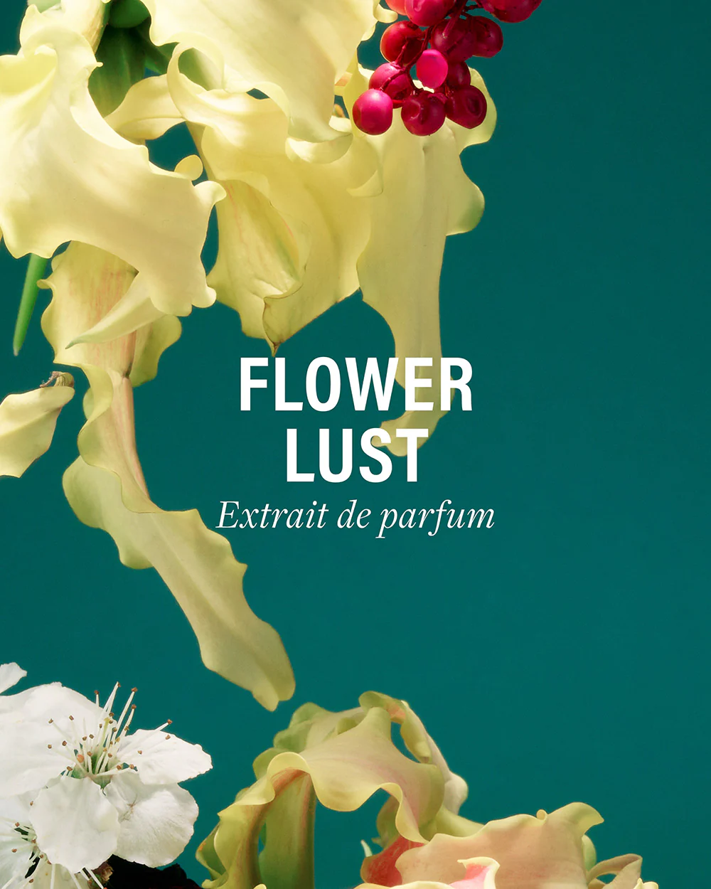 Flower Lust - Image 4