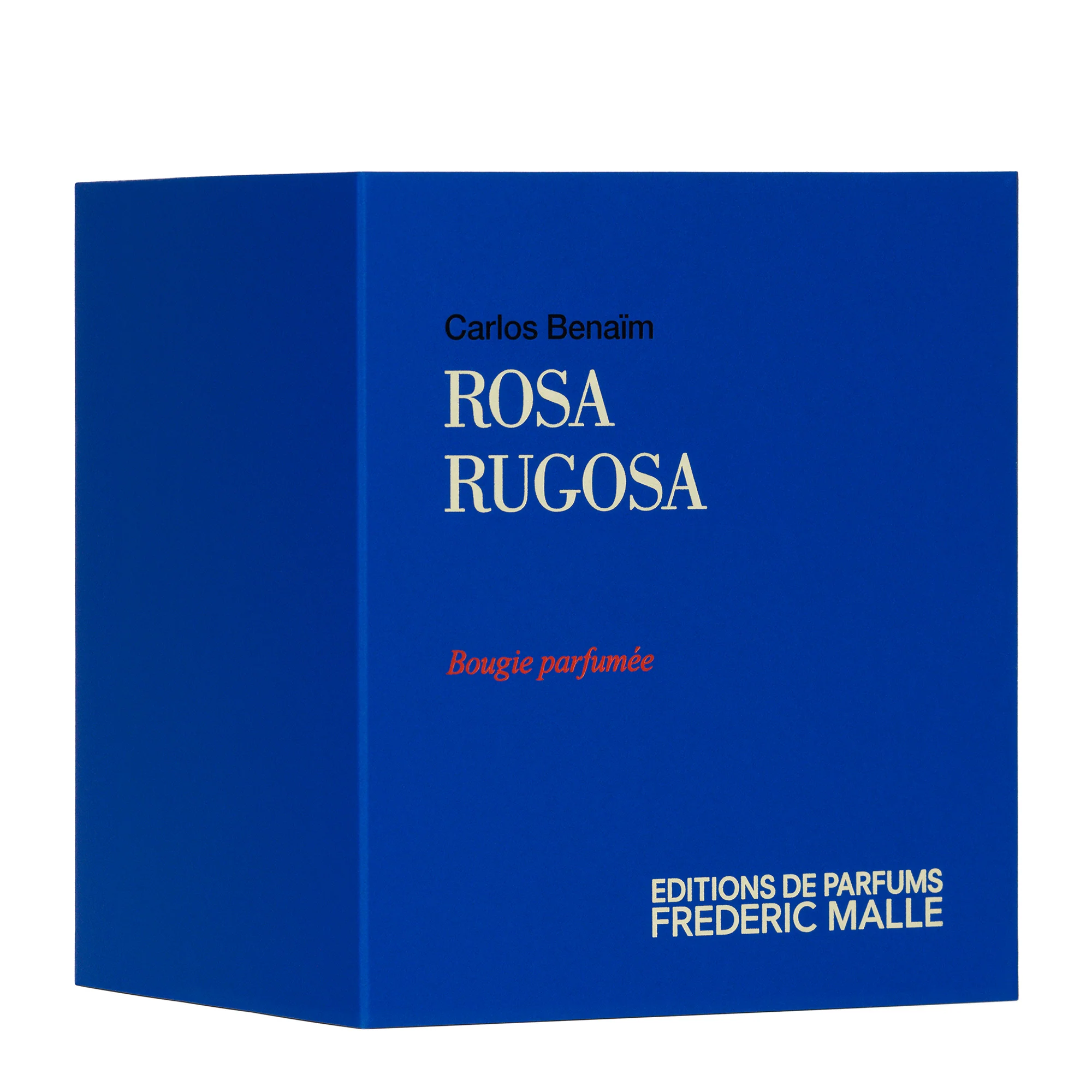 Rosa Rugosa - Image 3