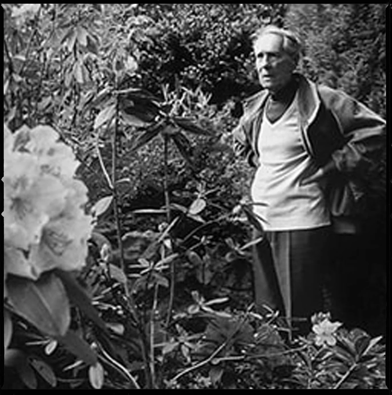 Le Parfum de Thérèse - Image 5