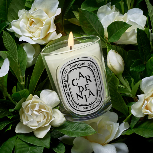 Gardenia Classic Candle - Image 2