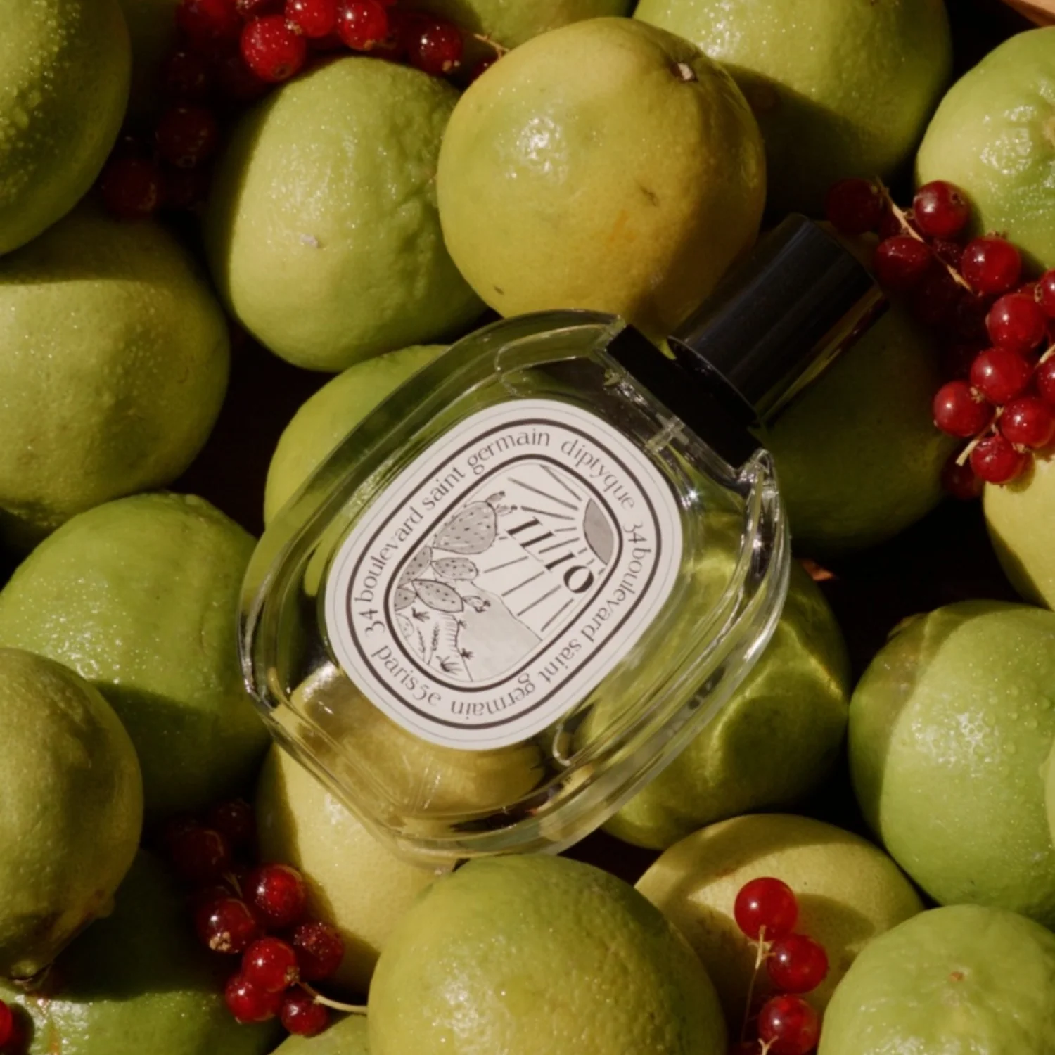 Ilio Eau de toilette - Image 4