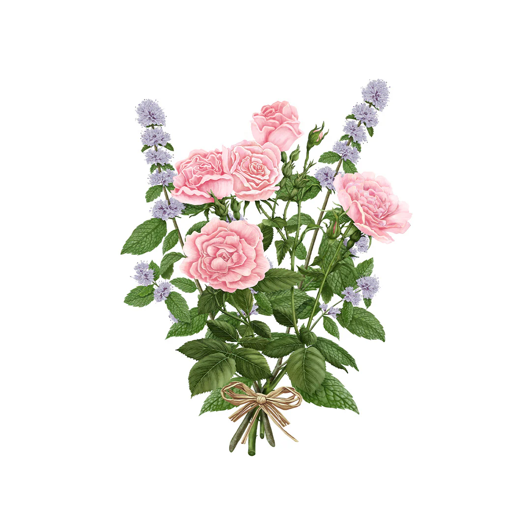 La Rose aime la Menthe Diffuser - Image 2