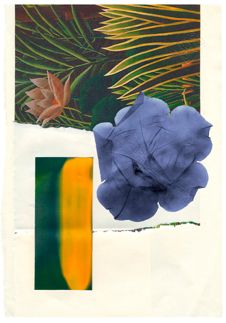 L'Ivrée Bleu - Image 4