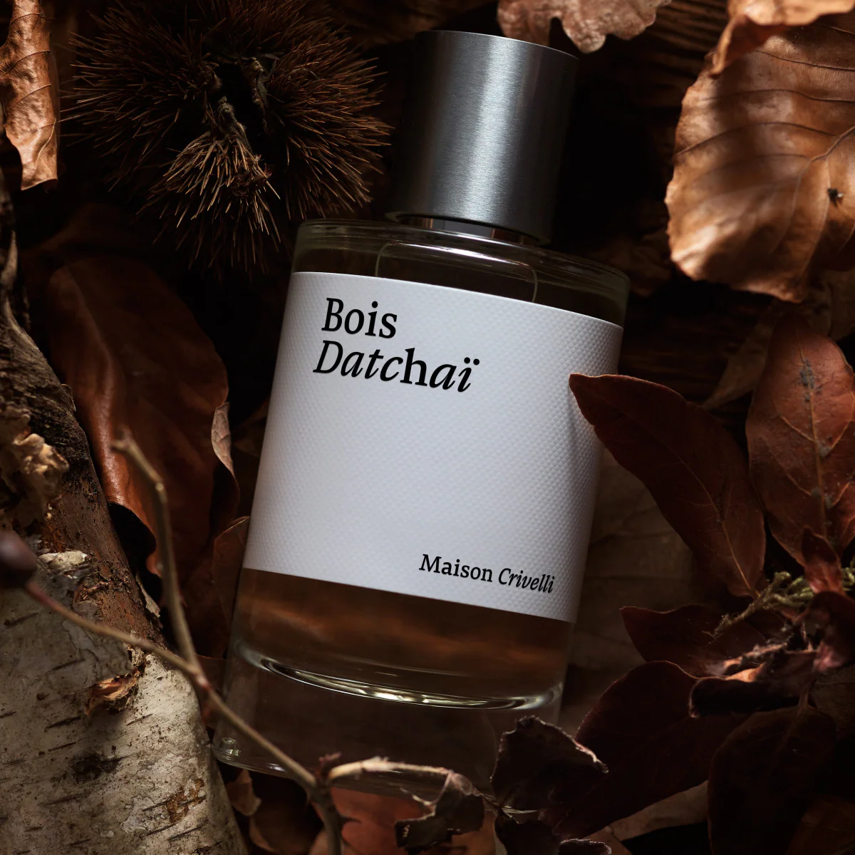 Bois Datchaï - Image 3