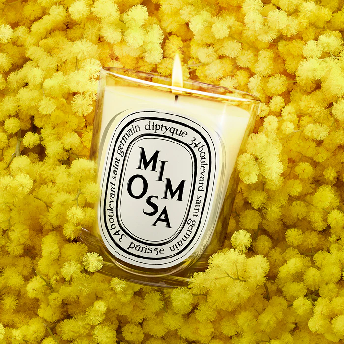 Mimosa Classic Candle - Image 2
