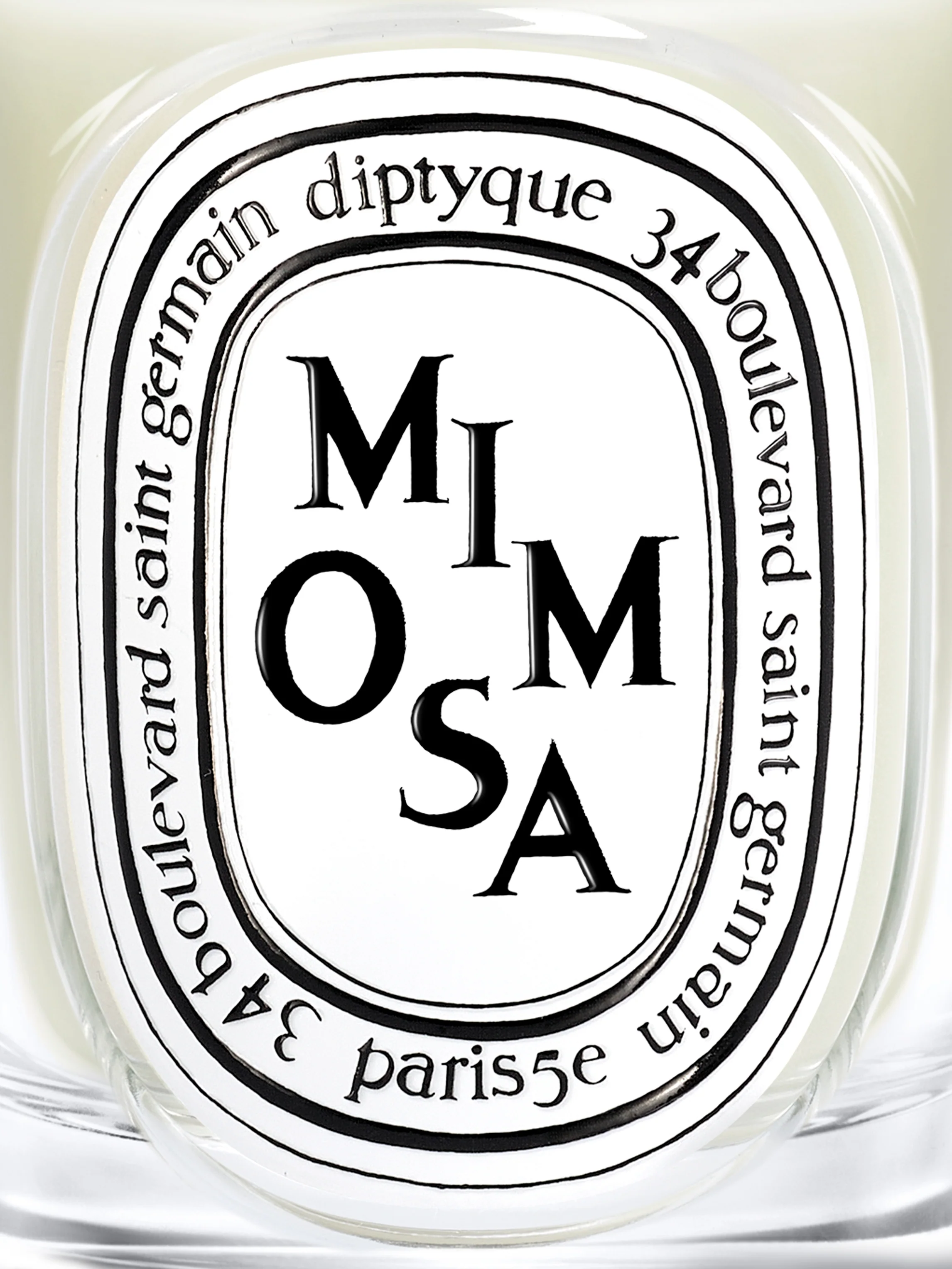 Mimosa Classic Candle - Image 3