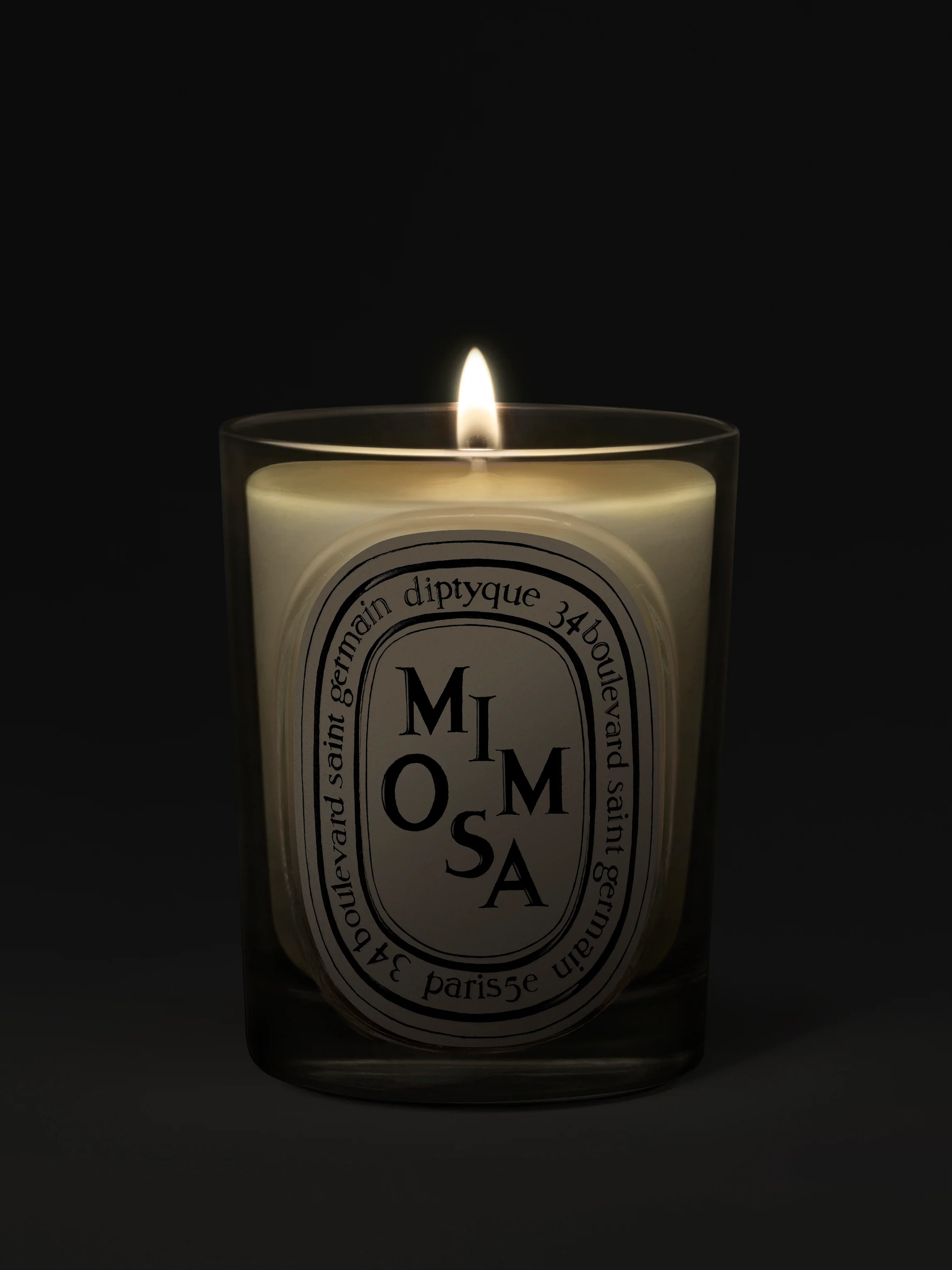 Mimosa Classic Candle - Image 4