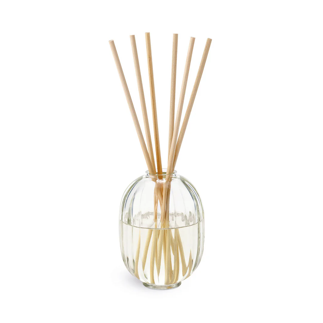 Mimosa Reed Diffuser Refill - Image 2