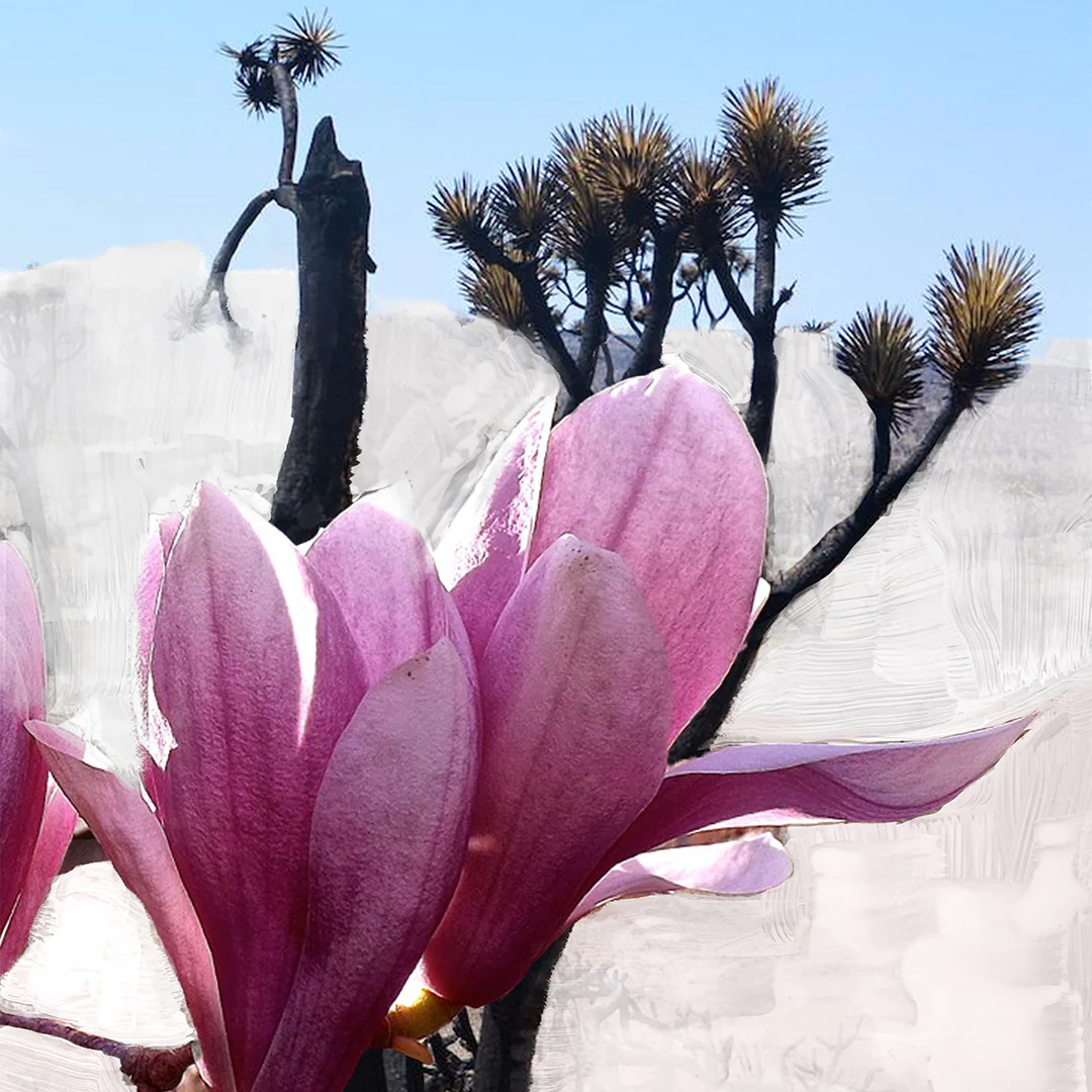 Mojave Ghost Body Wash - Image 3