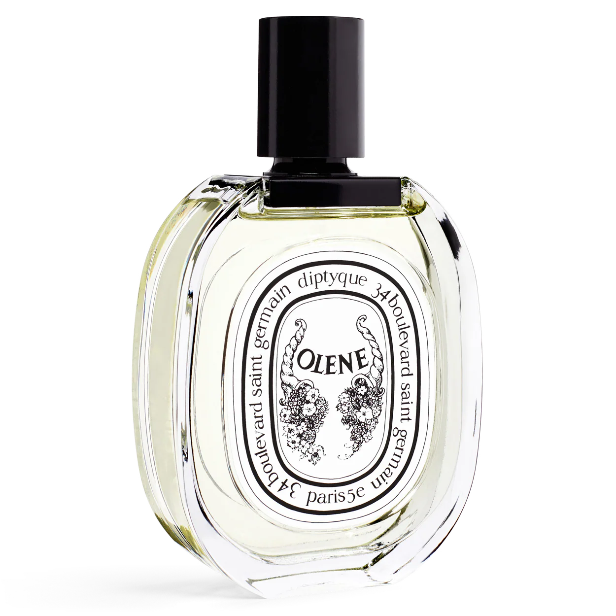 Olene - Image 3
