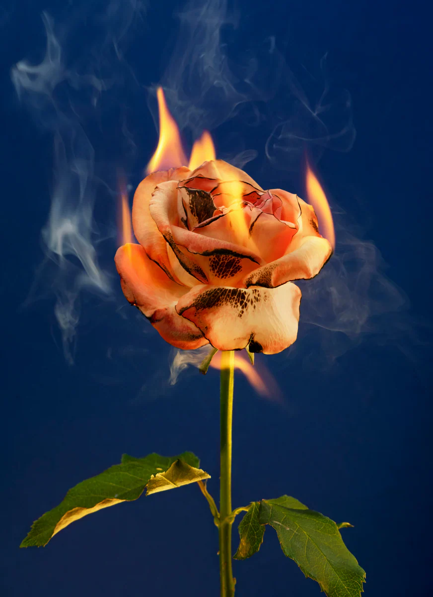 Oud Maracujá Scented Candle - Image 4