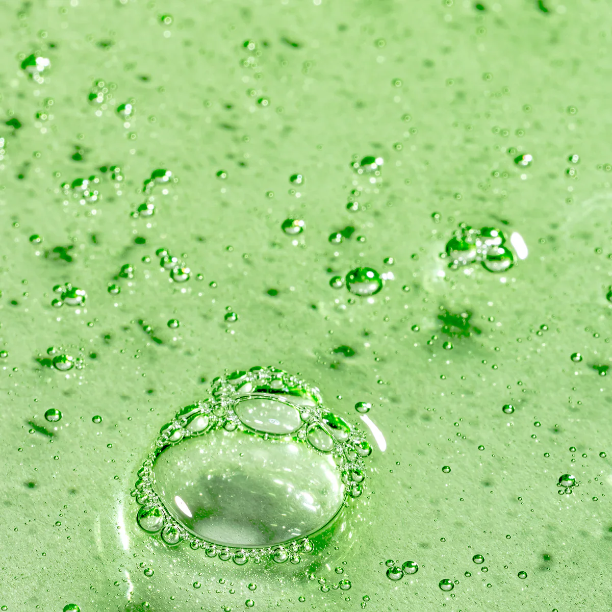 Peppermint Avocado Shampoo - Image 5