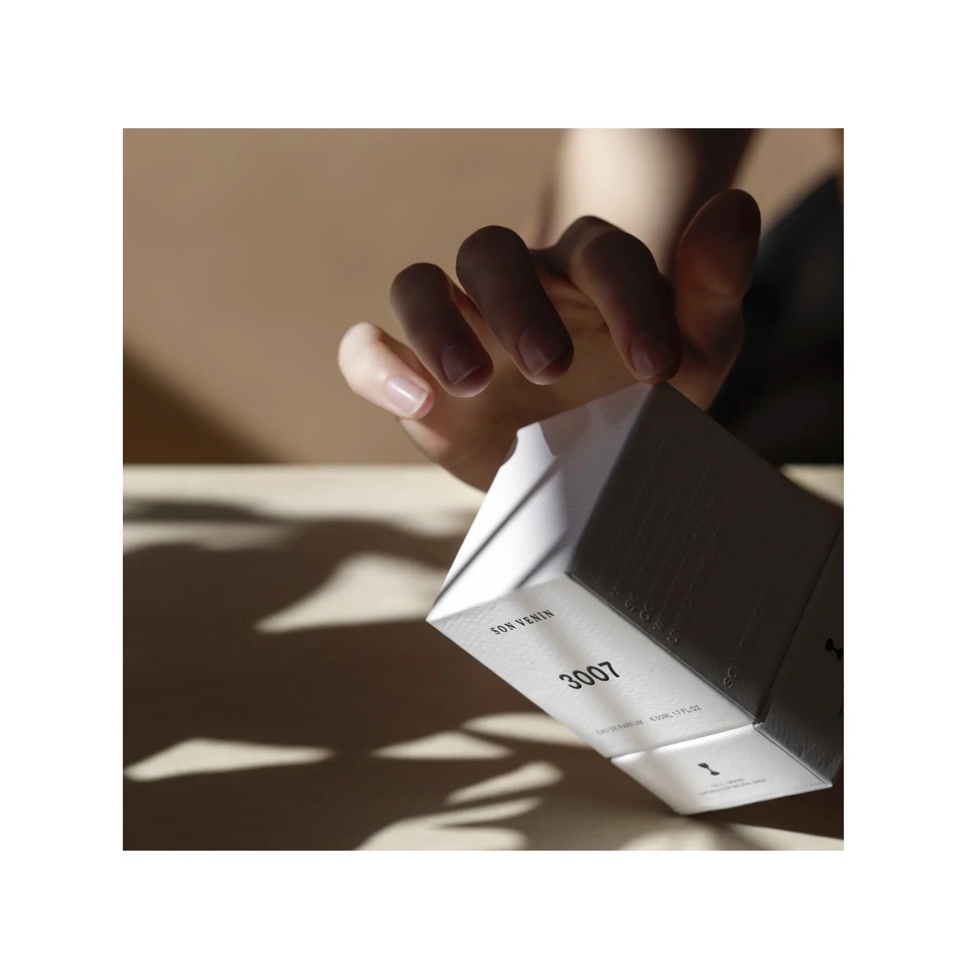 3007 - Image 3