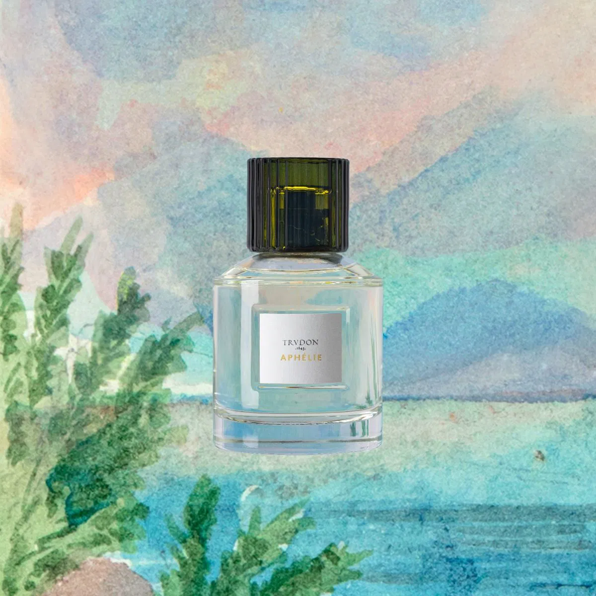 Aphélie - Image 2