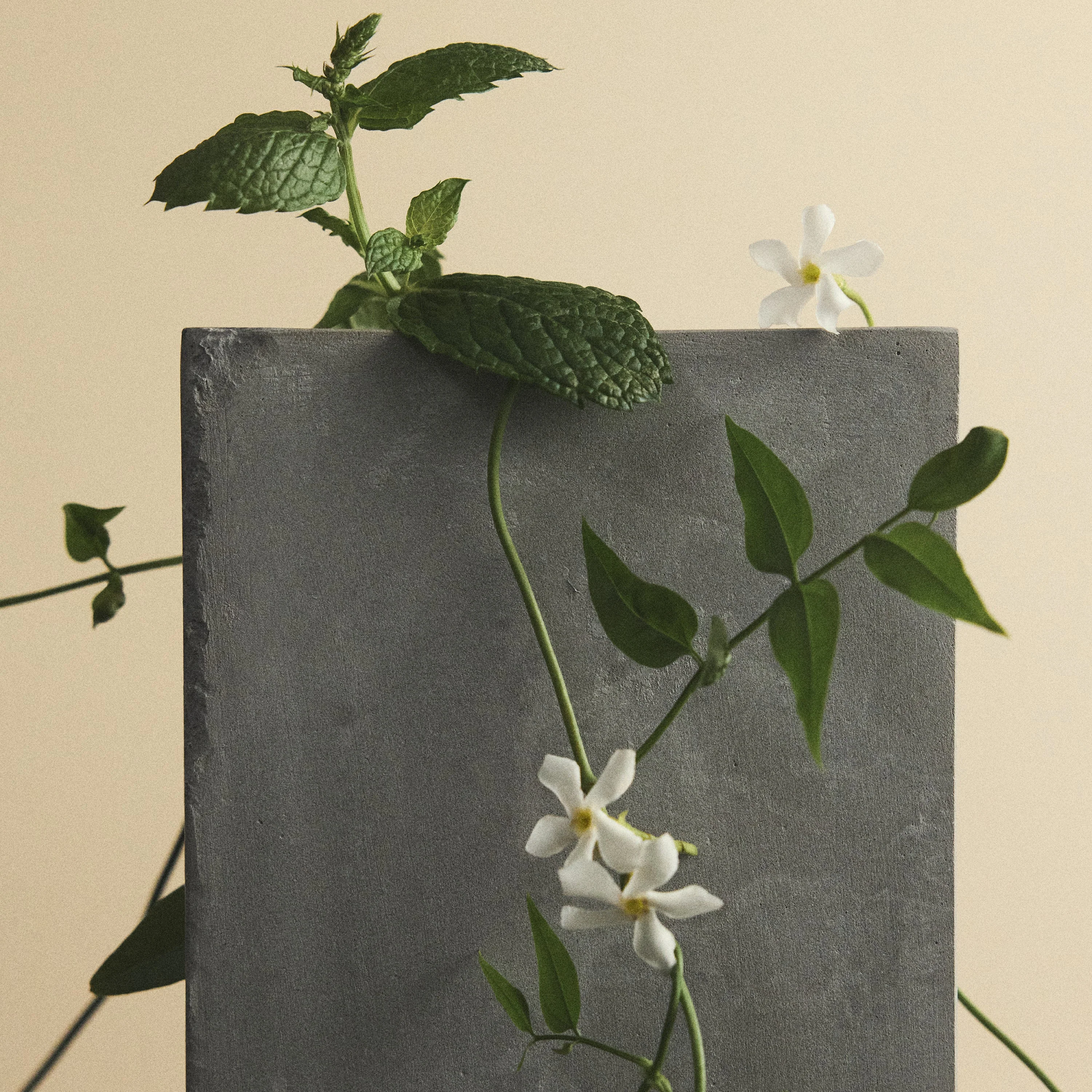 W.T. Sweet Distruption - Image 8